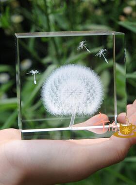 同学教师节礼物蒲公英标本送妈妈