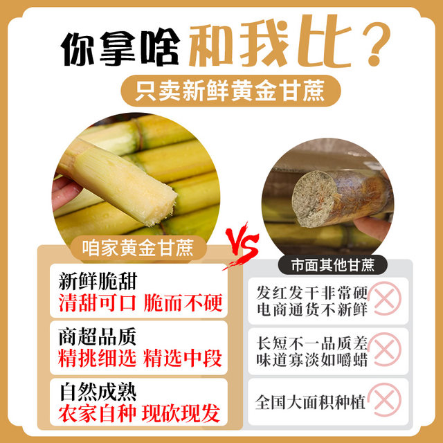 Yunnan fresh golden sugar cane