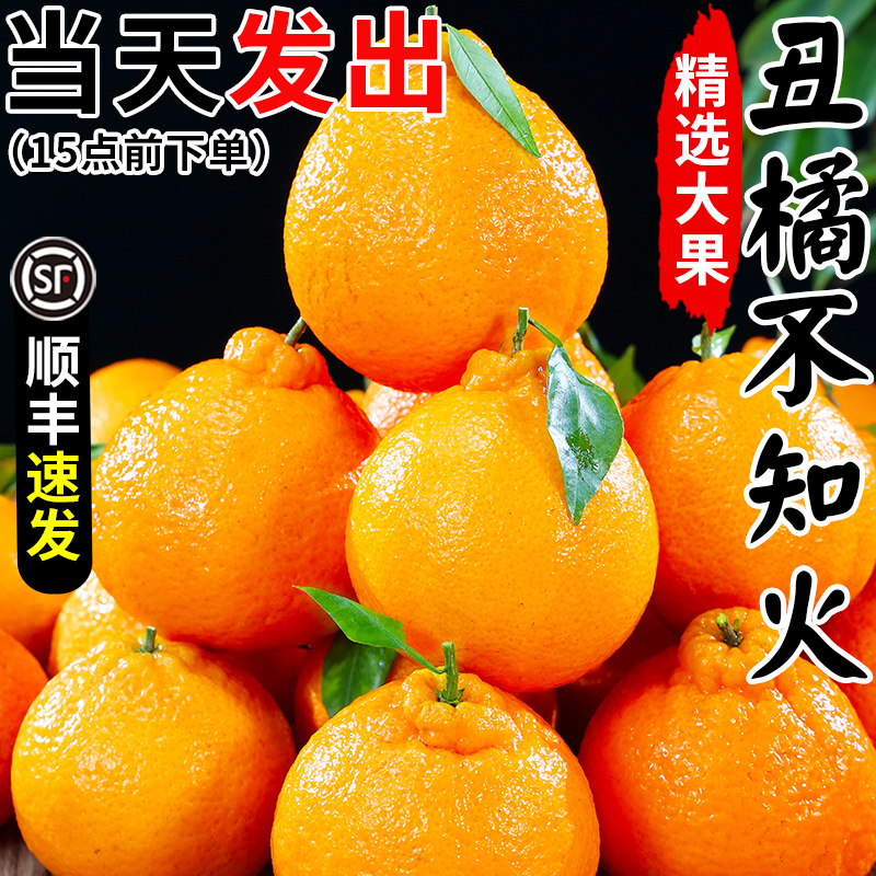 四川不知火丑橘新鲜水果10当季甜丑八怪耙耙桔柑粑粑橘子整箱斤-图0
