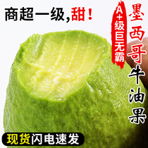 Mexican imports of butter fruits 12 fresh fruits should season the whole box I avocado is cooked and ready-to-eat