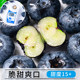 Fresh blueberries