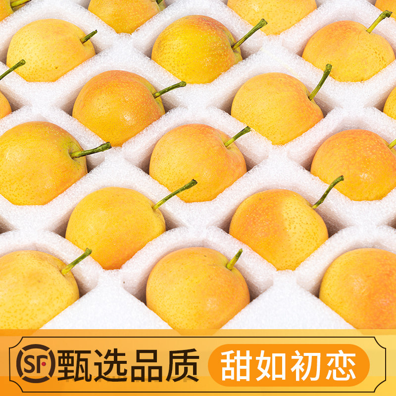 鞍山南果梨5斤东北特产南国梨海城包邮香水梨子新鲜冻梨孕妇水果 - 图2