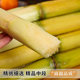 Yunnan fresh golden sugar cane