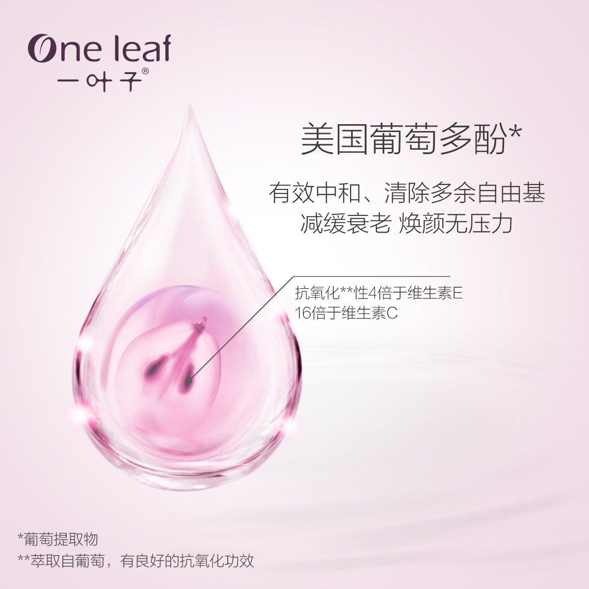 一叶子葡萄多酚紧致抚纹精华乳液 一叶子雅印乳液/面霜