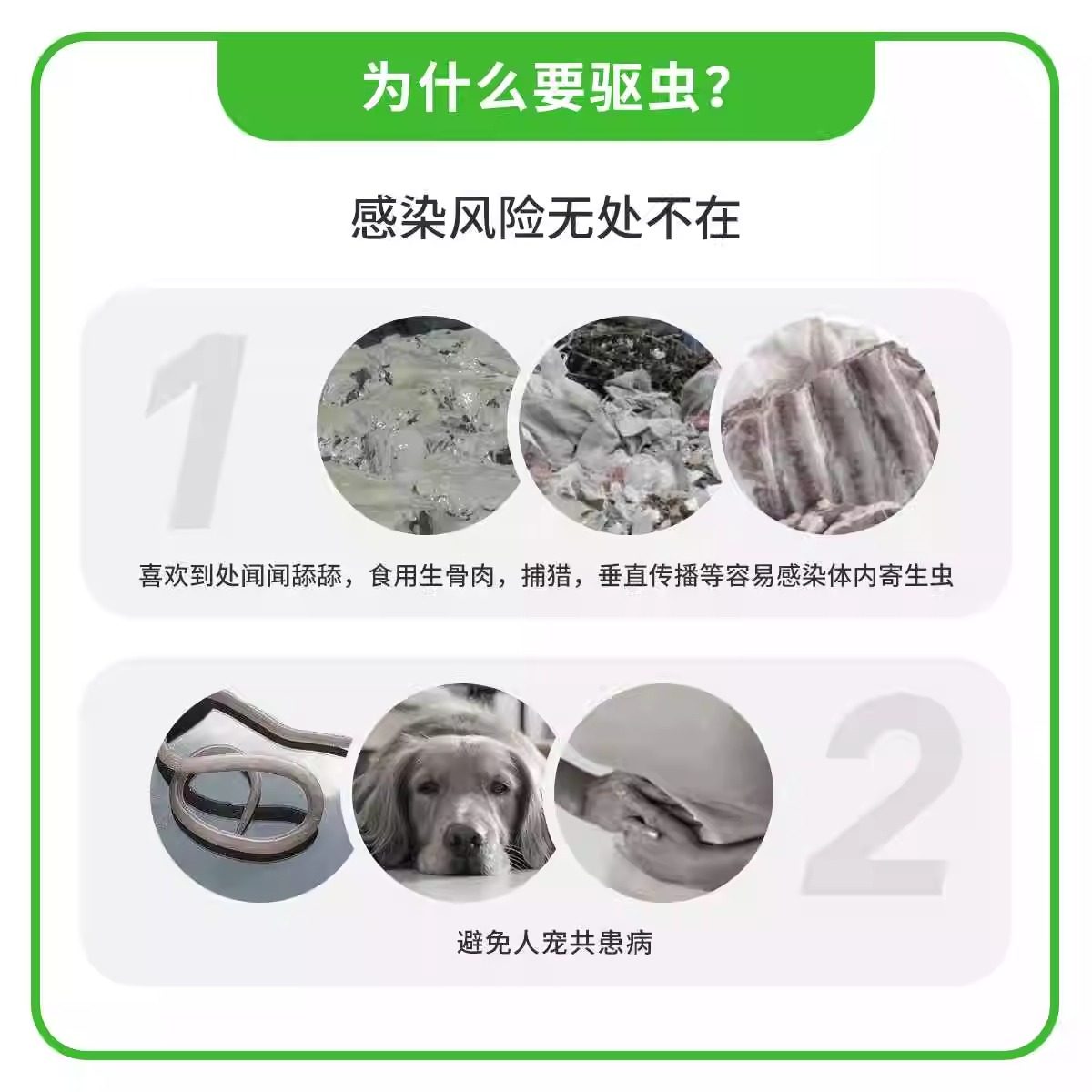 拜宠清狗狗驱虫药体内温和驱虫犬用泰迪体内宠物打虫药除蛔虫绦虫,淘宝优惠券,粉丝福利购,淘宝优惠卷