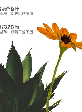 斐澳芮FIORI意大利佛罗伦萨之花原装进口香氛午夜睡莲沐浴露正品