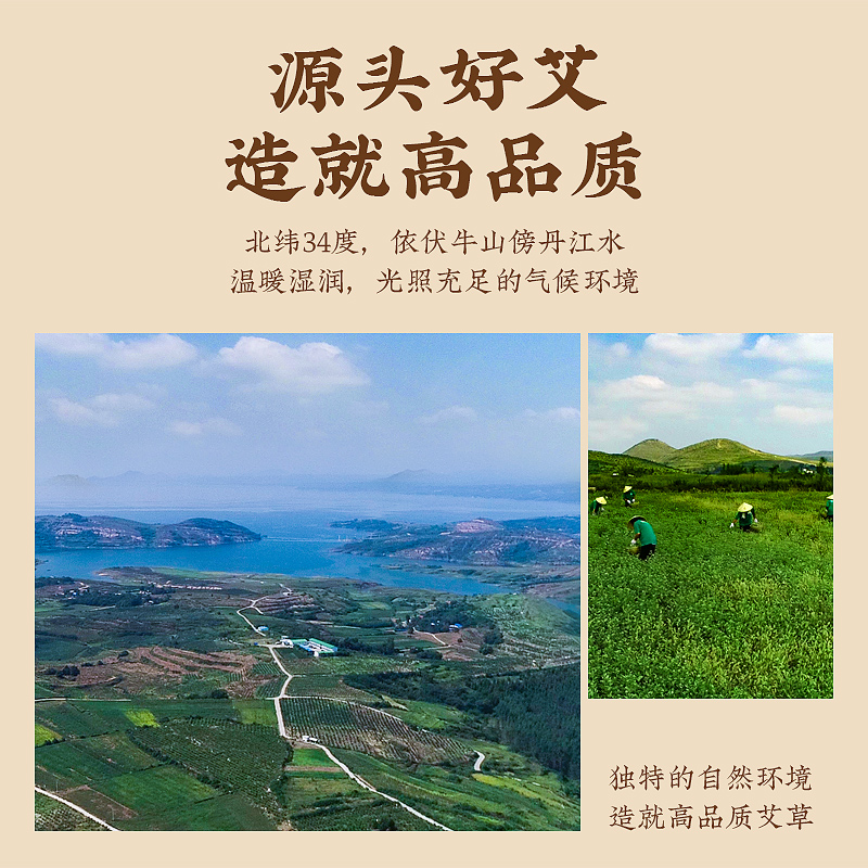 艾柱陈年艾绒棒纯艾草艾条棒家用随身灸器具盒罐官方旗舰店正品 - 图1