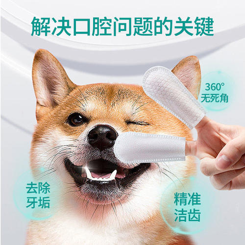 修正宠物洁牙齿指套湿巾去牙垢口腔抑菌洁牙清去刷牙口腔结石湿巾 - 图1