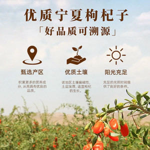 正宗北京同仁堂枸杞子150g/瓶益精明目泡水养生中药饮片旗舰店