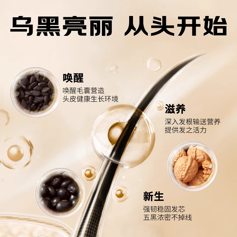 北京同仁堂黑芝麻糊黑豆核桃桑椹五黑粉冲泡即食营养代餐黑发食品 - 图2