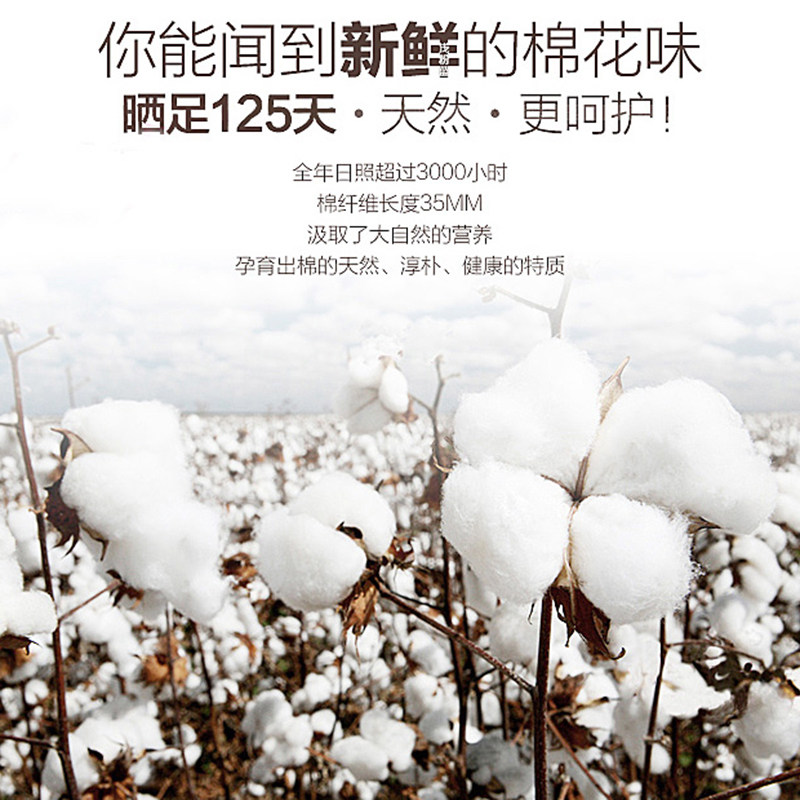 【阿里健康自营】月月舒医用卫生巾纯棉械字号姨妈巾日用夜用经期,淘宝优惠券,粉丝福利购,淘宝优惠卷