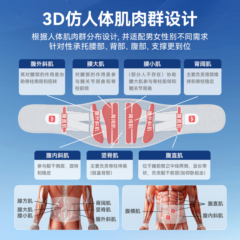 维德医用护腰带腰肌劳损腰椎间盘突出久坐疼痛热敷腰围男女腰托