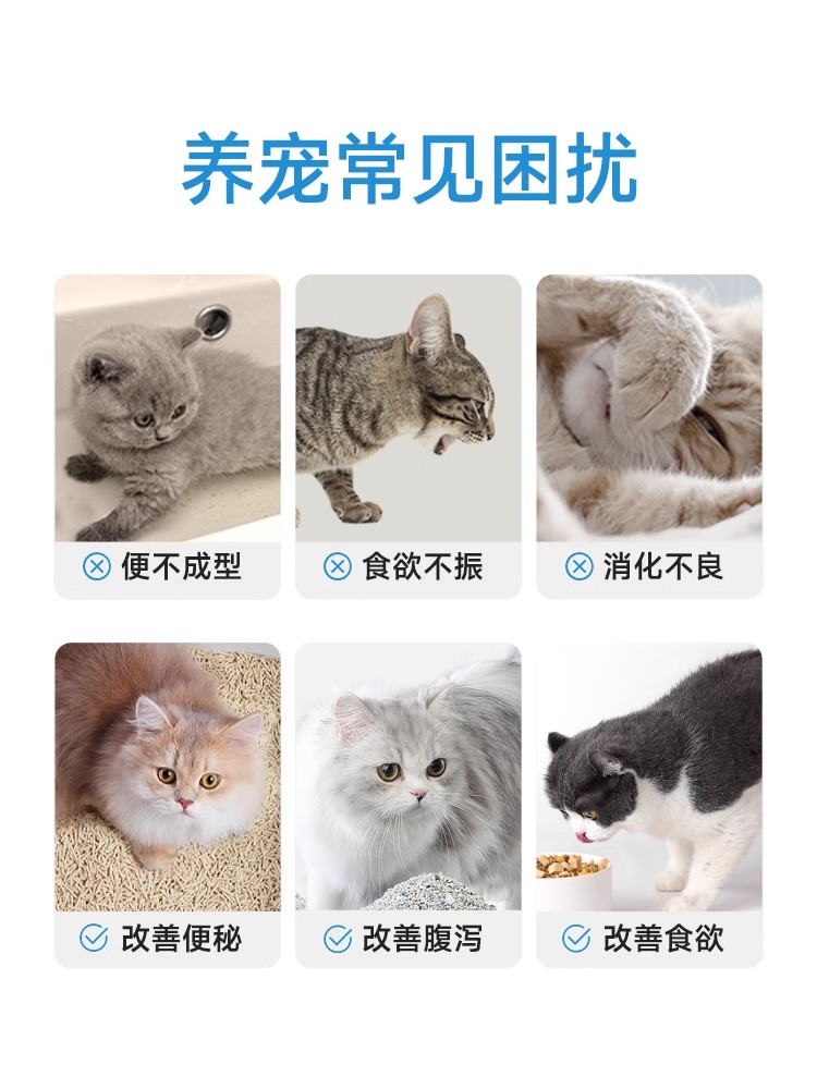 宽福猫咪专用益生菌狗狗肠胃调理助消化软便呕吐犬拉稀成幼猫宠物 - 图2