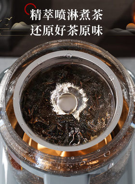 奥克斯纯钛多功能萃茶机