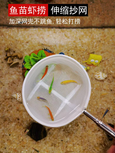小型观赏鱼孔雀鱼斗鱼鱼缸手工3D不锈钢伸缩手抄捞网鱼捞鱼兜渔捞 - 图1