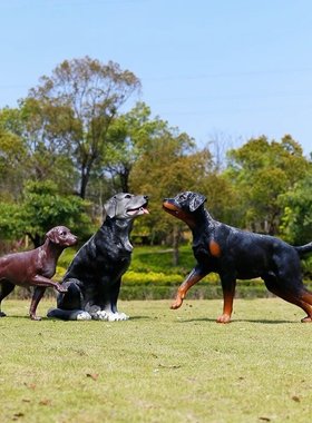 玻璃钢仿真动物狗雕塑拉布拉多犬摆件户外幼儿园林景观装饰小品