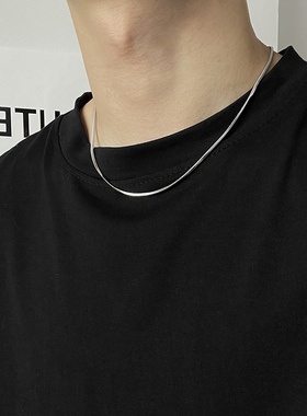 极简蛇骨链锁骨链男潮痞帅美式高街钛钢百搭项链女嘻哈不掉色颈链