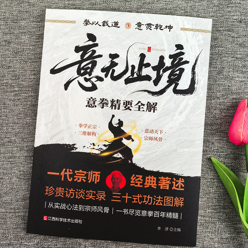 2册 意无止境+道家真气意拳精要全解书正版意无止境王芗斋站桩功拳学教程成拳站桩健身功法养生形意拳内家拳 中医健身书籍拳道中枢 - 图0