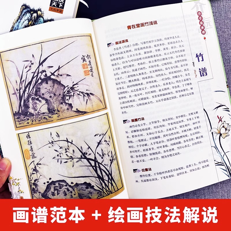 正版全4册芥子园画谱中国山水篇人物梅兰竹菊花鸟国画教程工笔画临摹画册零基础学绘画教程水墨国画美术教材书芥子园画传全集-图2