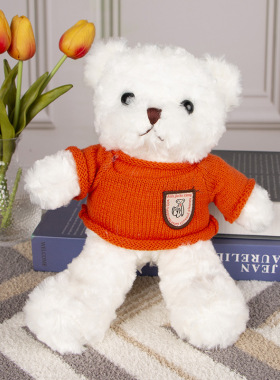 毛衣泰迪熊公仔 小熊公仔布娃娃批发生日礼物泰迪熊毛绒玩具玩偶