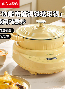 LIVEN/利仁YG-D420珐琅锅电煮锅
