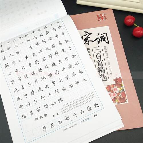 田英章书硬笔楷书唐诗三百首宋词三百首学生描红成人正楷体练字帖 - 图2