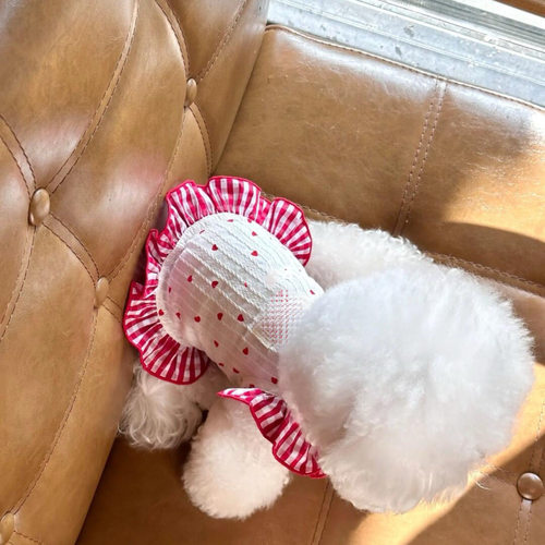 敲美的小裙子!清新可爱小型犬泰迪比熊猫咪博美碎花连衣裙春夏装 - 图3