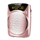Liqin bluetooth microphone playback amplifier teacher