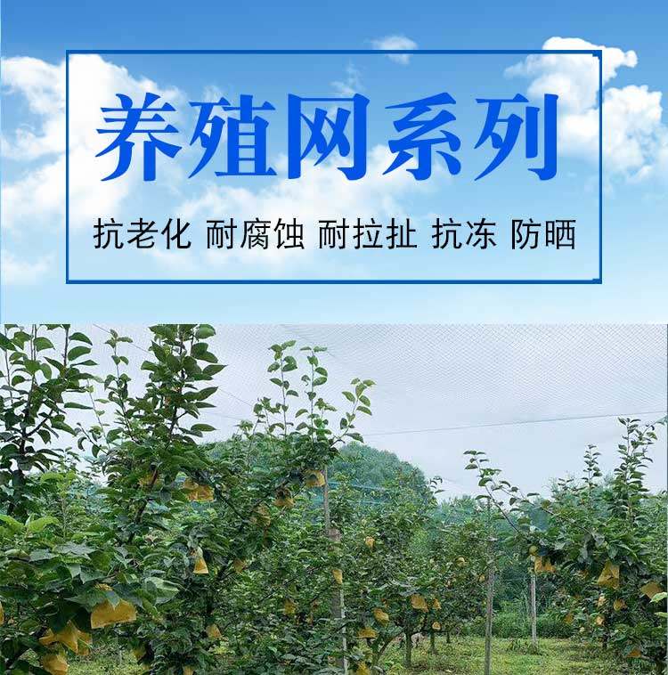 防鸟用网养殖天网果园网尼龙线网鱼塘网葡萄网樱桃网大棚网