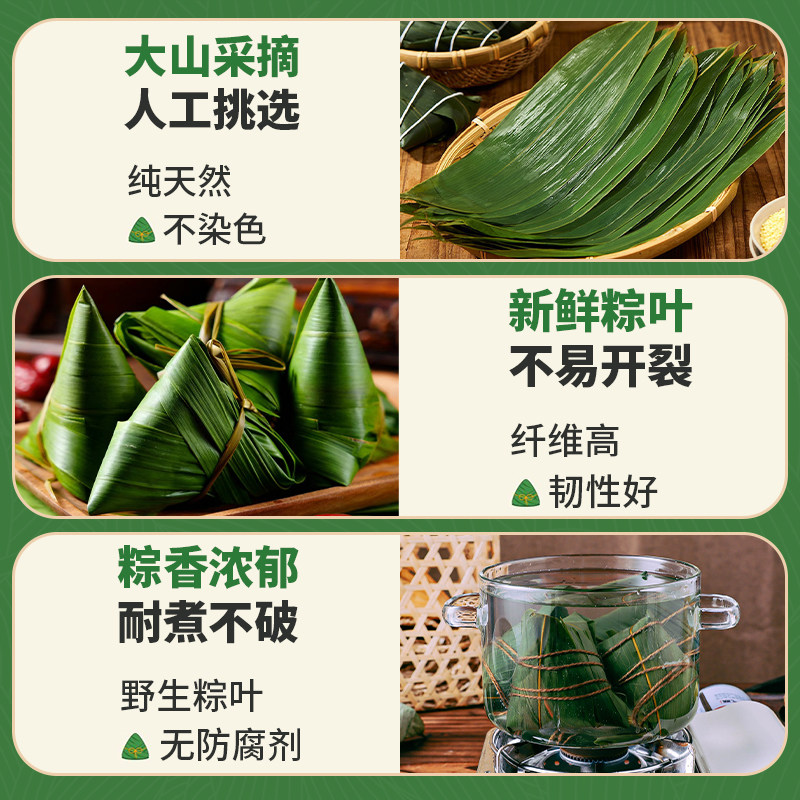 粽叶新鲜粽子叶大号精选包粽子专用的叶子端午鲜叶干叶特大家商用