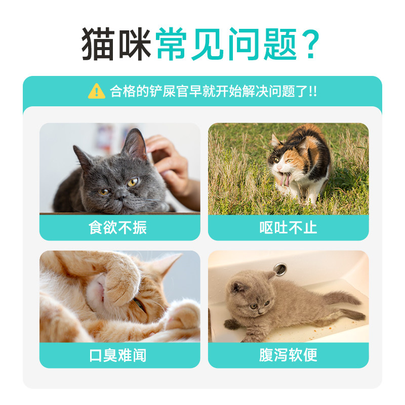 宽福益生菌调理肠胃助消化成幼猫 芘迪宠物用品猫/狗保健品