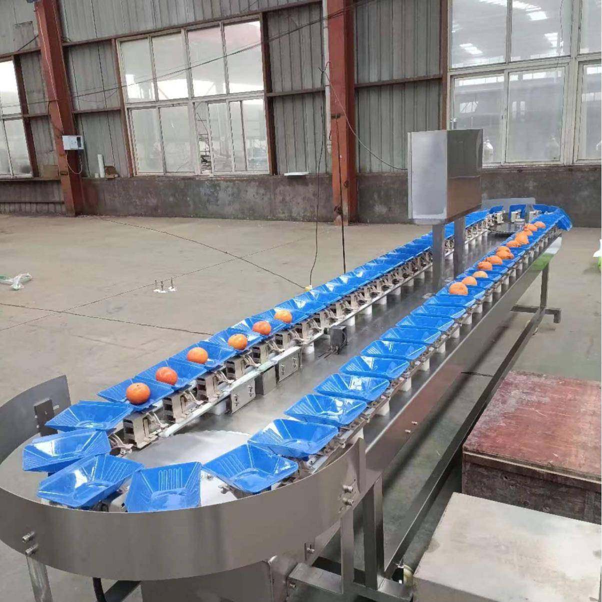 鱿鱼翻盘式分拣机 海参自动分级机 连续式鲳鱼分选流水线设备,淘宝优惠券,粉丝福利购,淘宝优惠卷