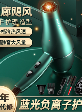 德系3000W冷热风家用速干大功率