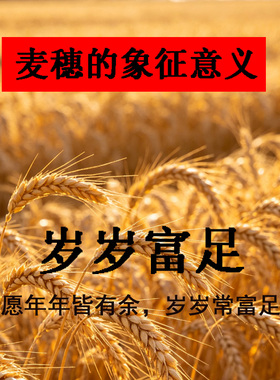 国风旗袍胸前配饰胸花胸针布艺高档女非遗工艺缠花新款大气质别针