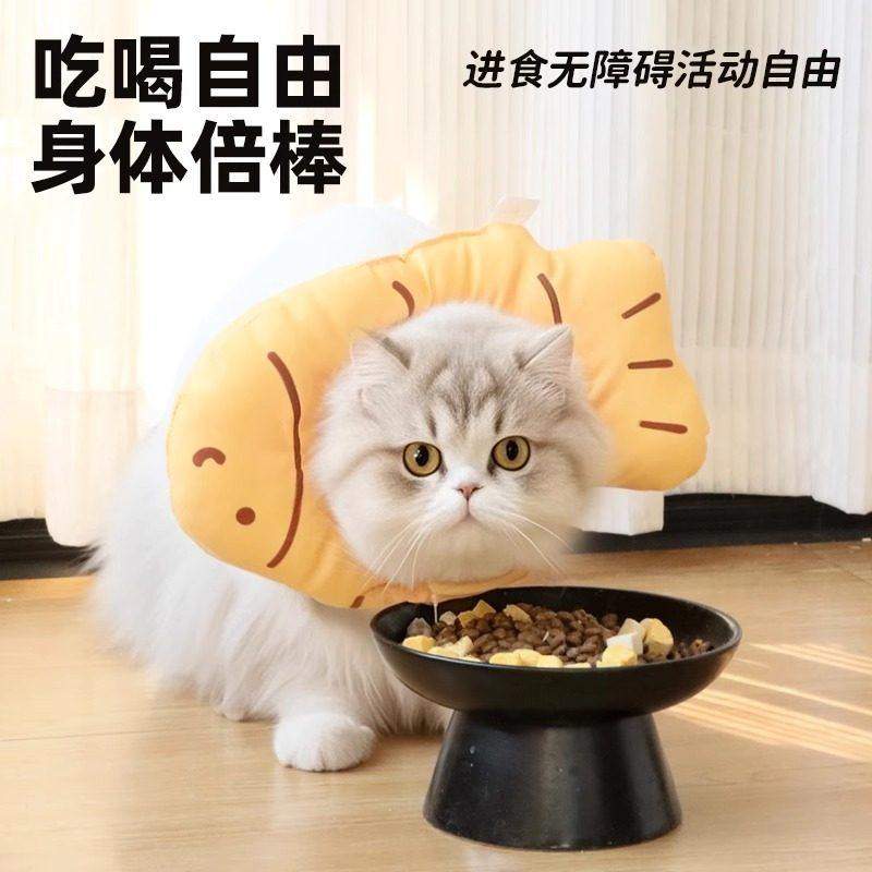 伊丽莎白圈猫绝育项圈防舔猫咪绝育项圈狗狗头套宠物驱虫伊脖圈,淘宝优惠券,粉丝福利购,淘宝优惠卷