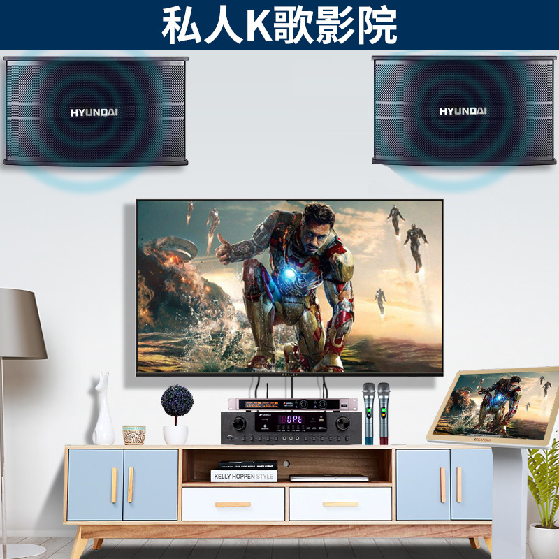 Modern T1s modern home ktv audio set home karaoke card package amplifier
