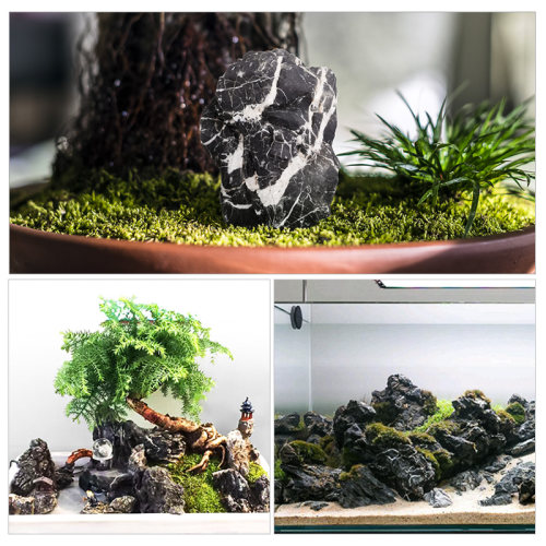 天然酸洗青龙石原石水族箱草缸水陆缸三湖慈鲷鱼缸石头造景石材料 - 图2