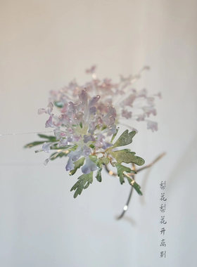 {花开离别} 各项专拍专用通道