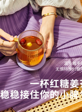 生活元素养生电炖杯办公室迷你小型多功能加热神器煮花茶加热水杯