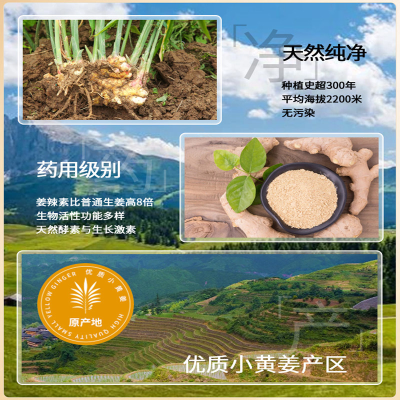 生姜控油蓬松洗发香波正品洗发露 韩婵雅兰丝洗发水