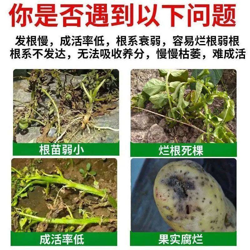 土豆拌种剂防病抗菌防虫高产包衣剂提高出芽率生根壮苗增产肥料,淘宝优惠券,粉丝福利购,淘宝优惠卷