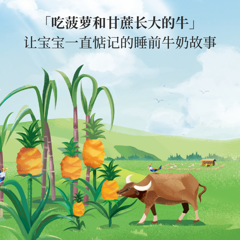 乐纯万里挑一水牛奶儿童生*纯牛奶 乐纯食品纯牛奶