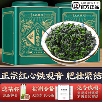 Red Heart Tieguanyin Wild tea Zhengmei Lanflower Shanghan Anxi Uryong Tea concentrated fragrant Type of new tea ceremony boxed 500g