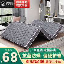 Folding mattress Coconut Palm Hard Cushion Palm Cushion Student Dormitory Single 1 8m1 5 m 1 2 tatami mat ground floor