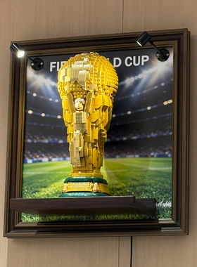 适用于乐高43020世界杯FIFA大力神杯积木创意上墙展示相框原创