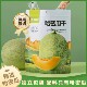 Xinjiang specialty authentic eight strange dried cantaloupe