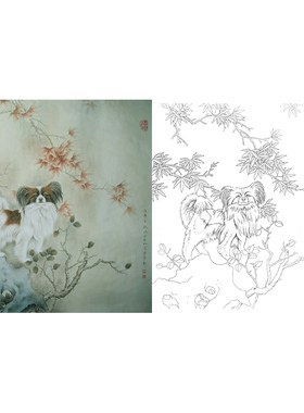 工笔画白描底稿牡丹花斗方