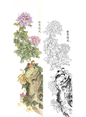 临冯爱国画工笔画白描底稿兰草花鸟四条屏之《香远益清》学习画稿