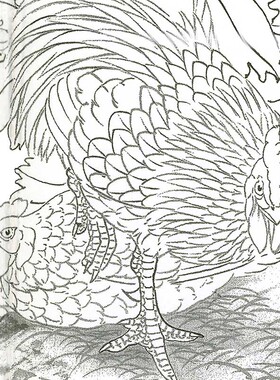 花鸟工笔画白描底稿临衍达葡萄