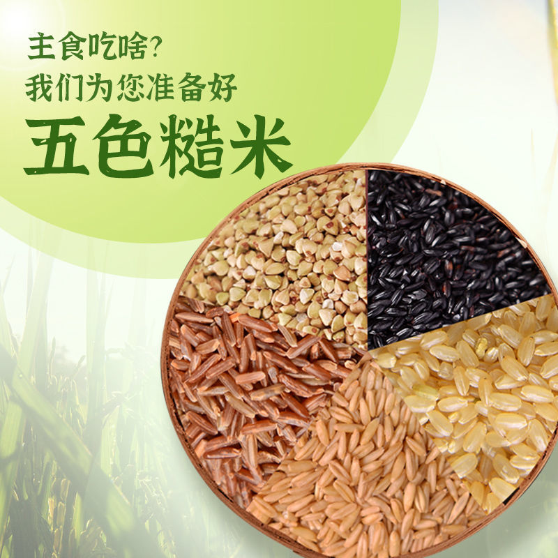 东北5斤五色糙米新米五谷杂粮粗粮红米黑米糙米饭健身营养胚芽米 - 图0